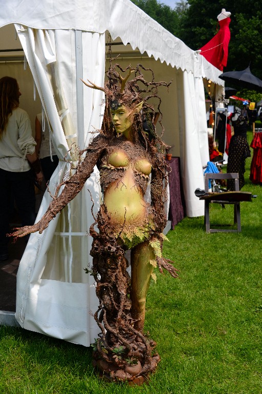 ../Images/Keltfest 2016 Zaterdag 087.jpg